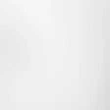 10K White Gold variation